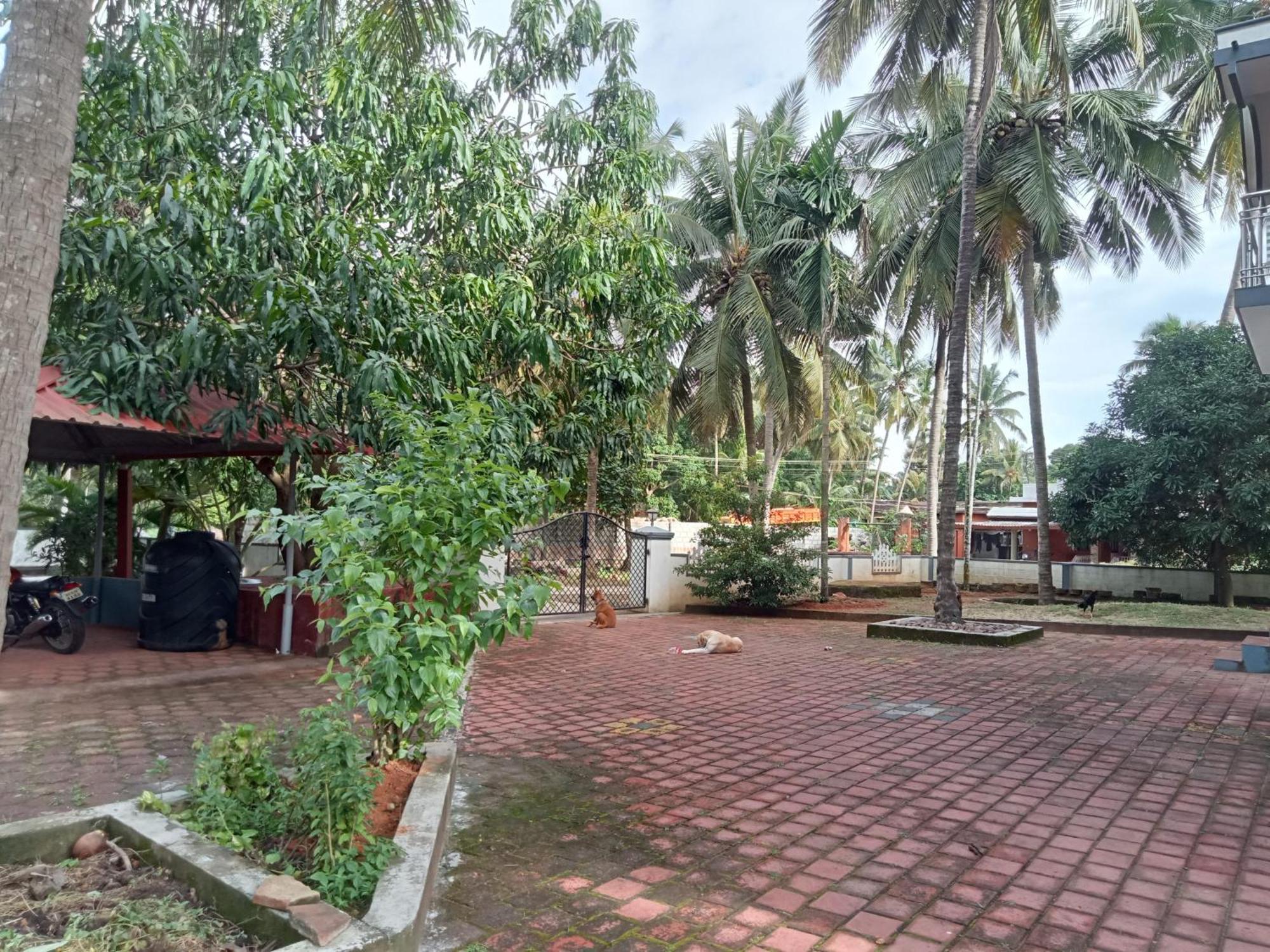 Jayadurga Farms - An Eco-Friendly Homestay Udupi Exteriér fotografie